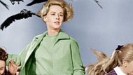 The Birds (1963) | Image Source: Universal Pictures